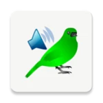 birds calls sounds android application logo